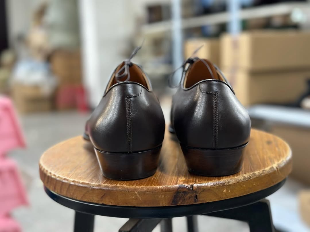 CORDIAN - BROWN CRUST FORMAL DERBY LACEUP